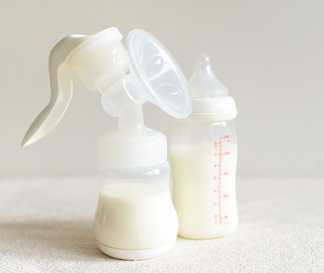 Aliado Lo anterior Productos lácteos Extracción y conservación de la leche materna